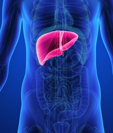 Liver Disease Treatment